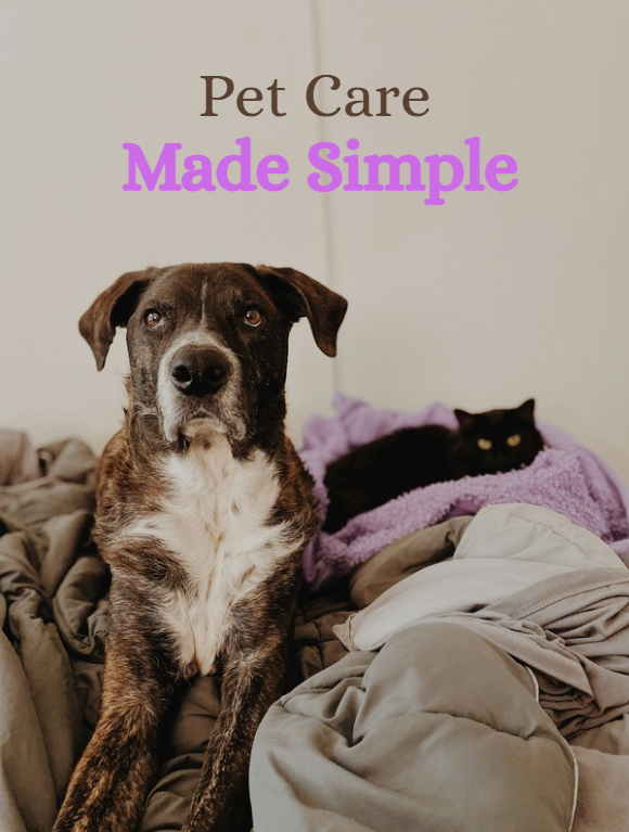 Guides For New Pet Owners (New and Old)